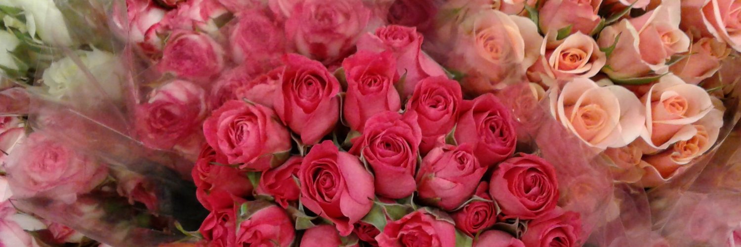 tracypalmer4151's profile banner image