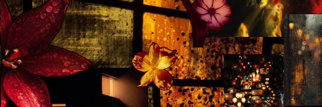 midarilo's profile banner image