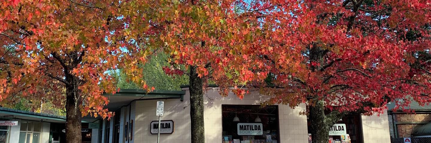 Matilda Bookshop banner