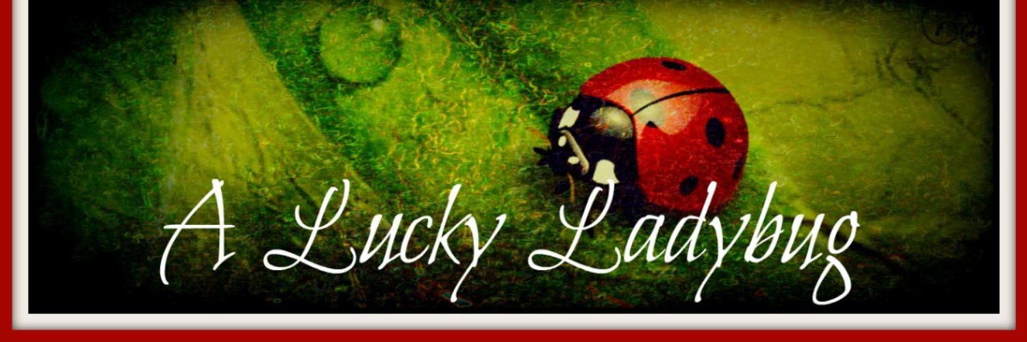 ALuckyLadybug's profile banner image