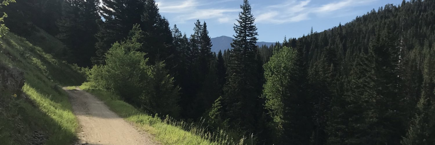 taylorels6's profile banner image