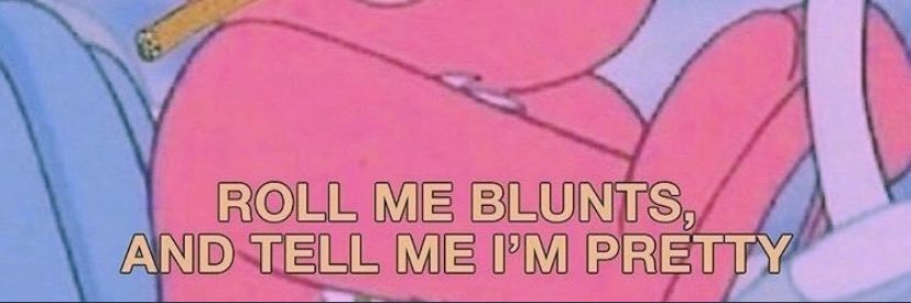 ItsCatBieber's profile banner image