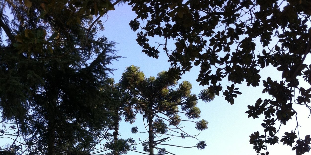 ParqueRamonCruz's profile banner image