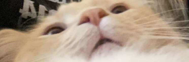 caseyarlotta's profile banner image