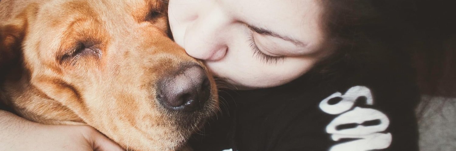 Shutterbuggxox's profile banner image