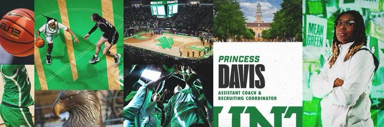 Princess Davis banner