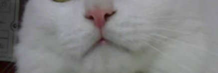 RUTHMUSKUS's profile banner image