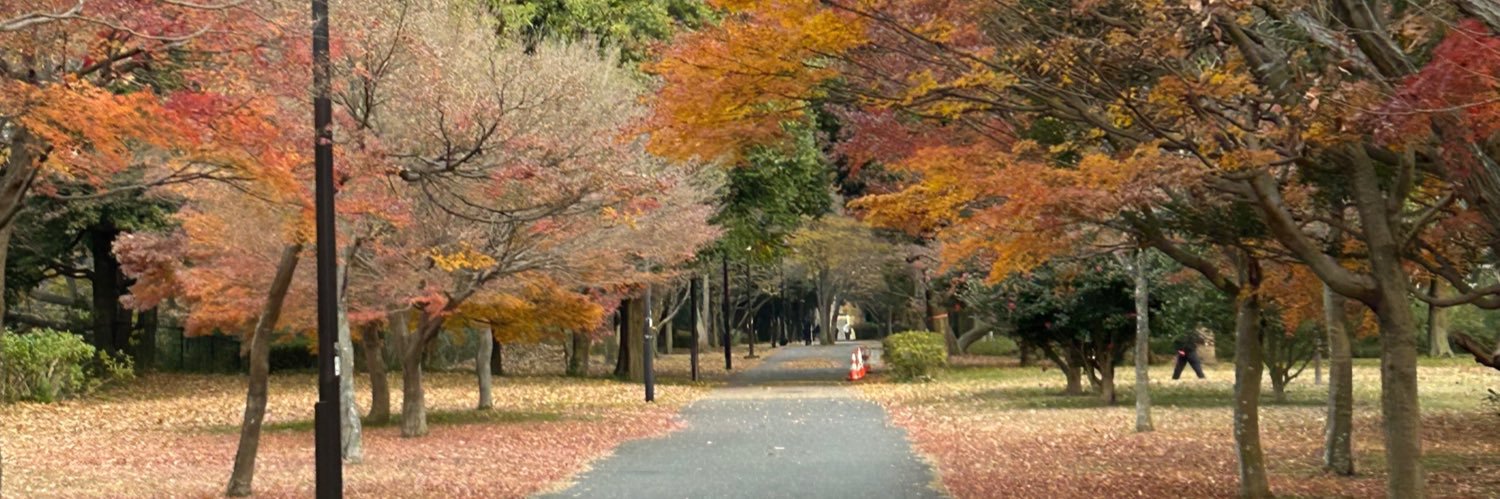 H_N0903's profile banner image