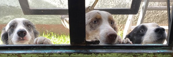 Pzzg0d Profile Banner
