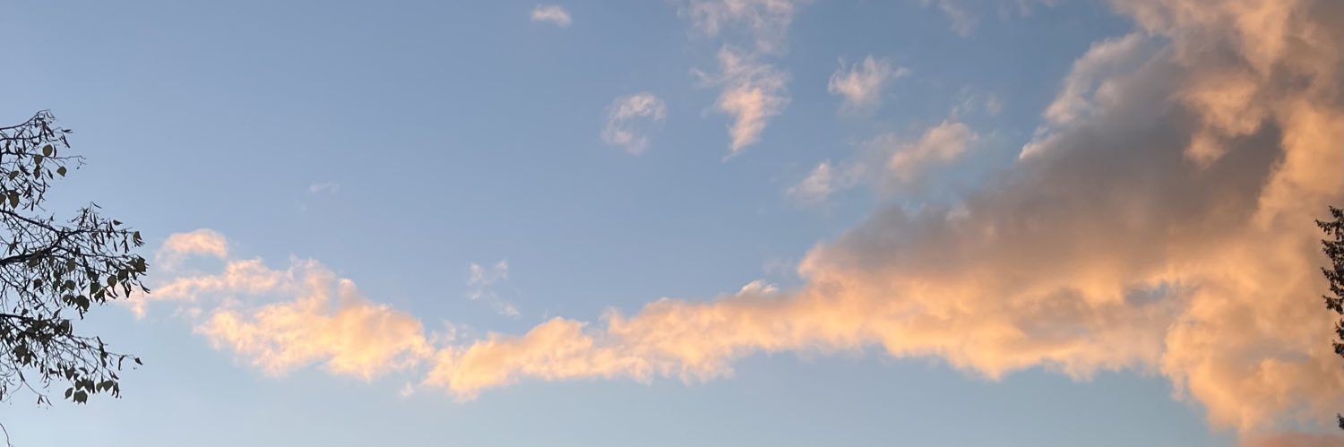 TaylorLovesTW's profile banner image