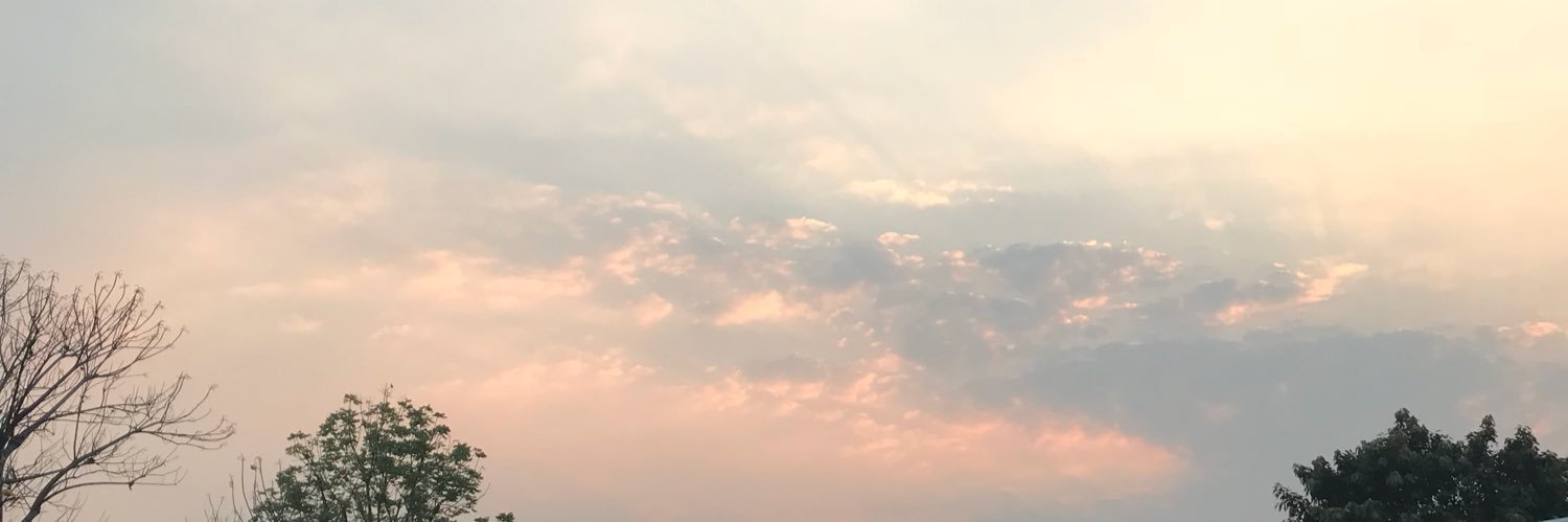 fougerette's profile banner image
