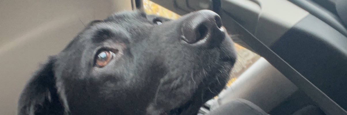 JorieRutkowski5's profile banner image