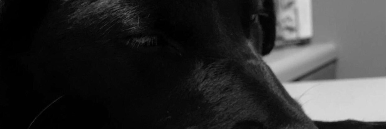 brady9687's profile banner image