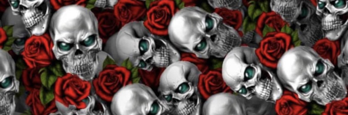 geeboogie329's profile banner image