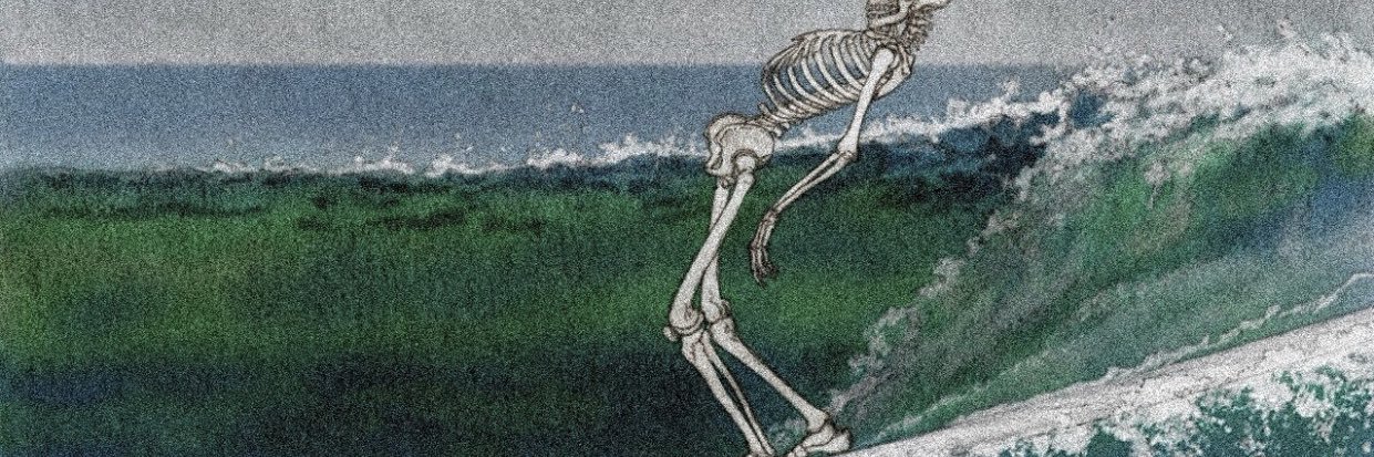 nemos_lost_'s profile banner image