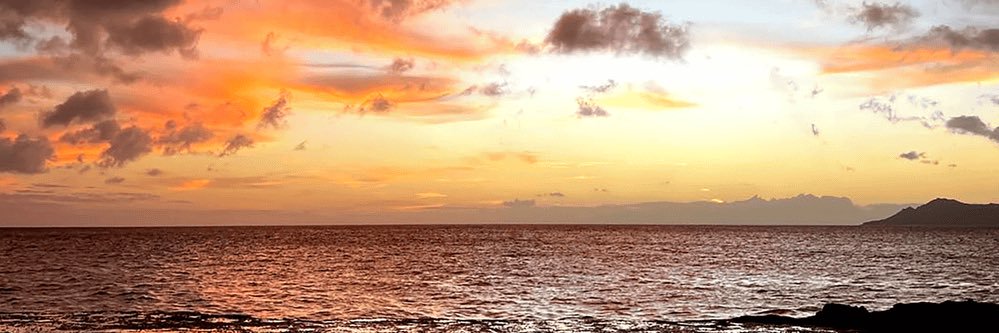 Brandon_Dolan21's profile banner image