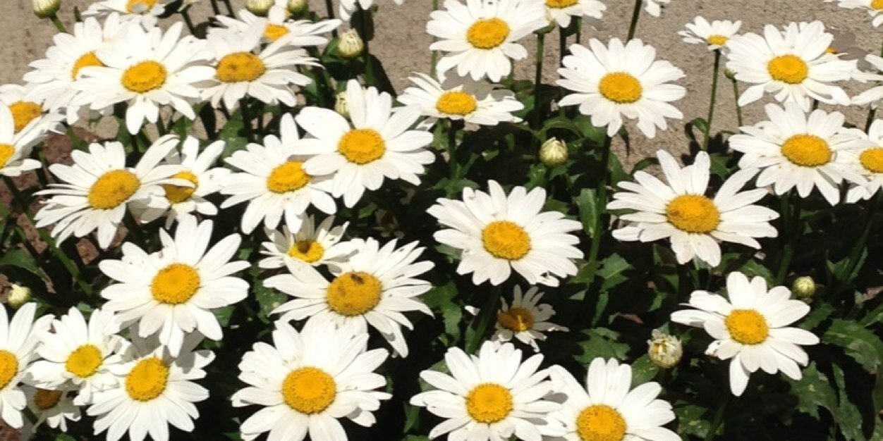 robertjascience's profile banner image
