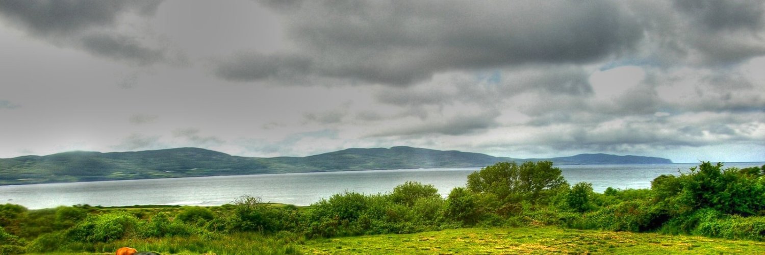 Miguel Ángel banner