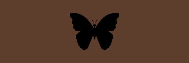 iselmou_hadi's profile banner image