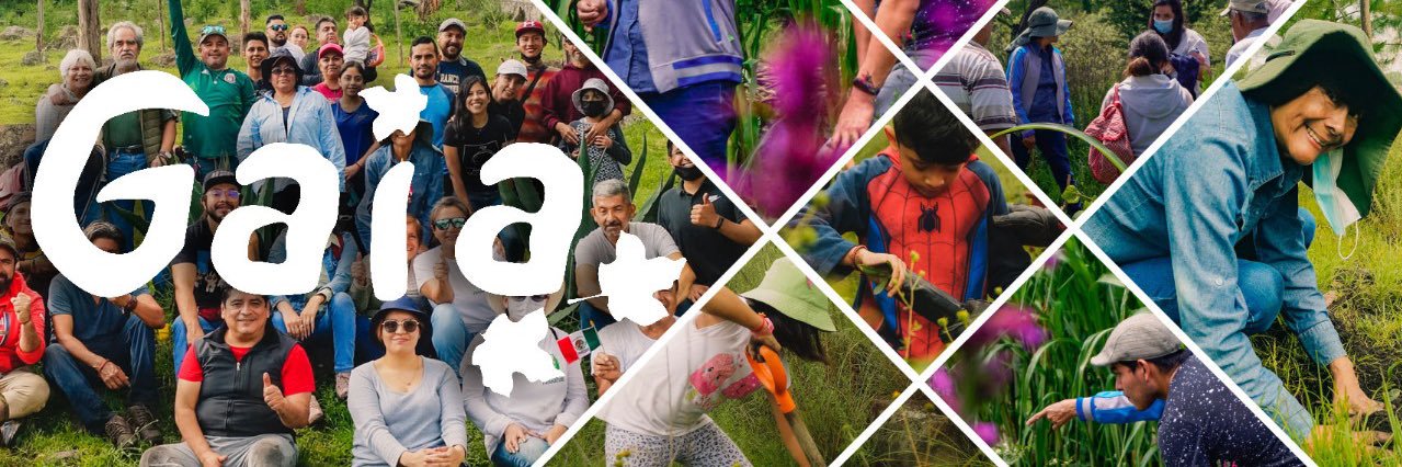 Gaia, A.C. México banner