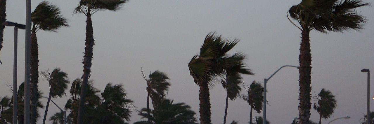 Gardouja's profile banner image
