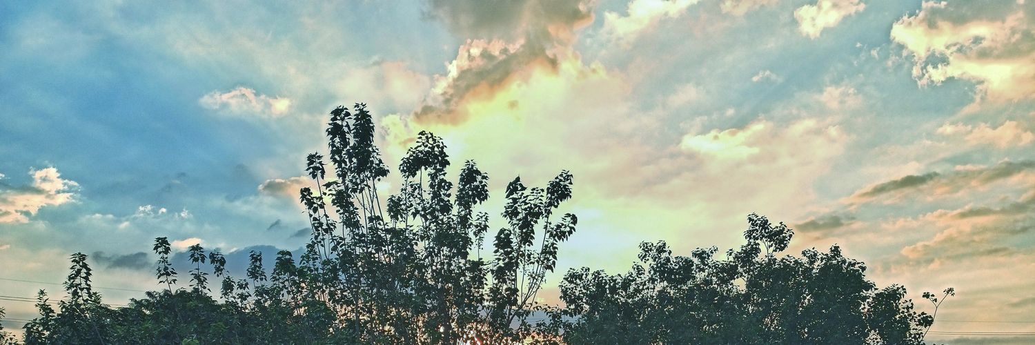 JyTrndsttr's profile banner image