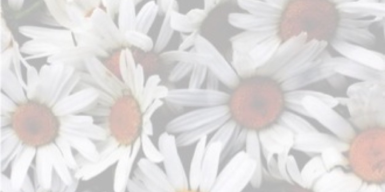 latigo1D's profile banner image