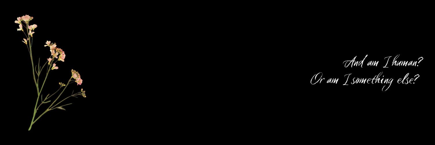 booksmaf's profile banner image