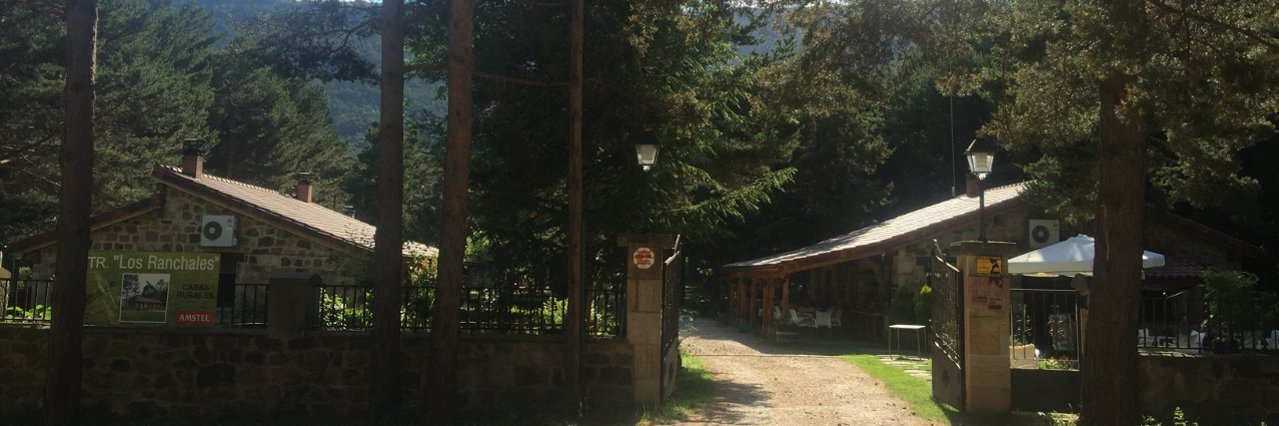 losranchales's profile banner image