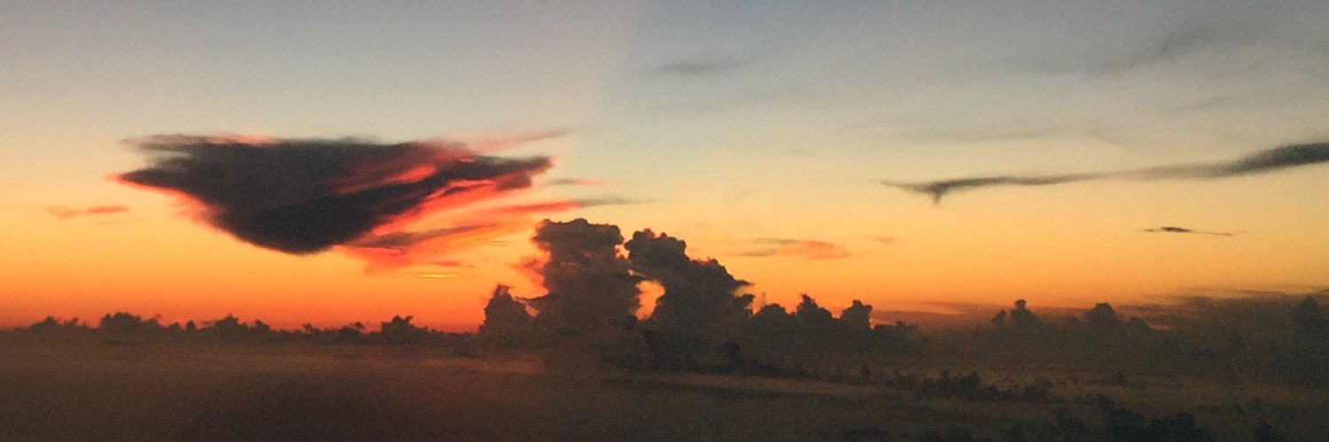 MarianaMdn's profile banner image