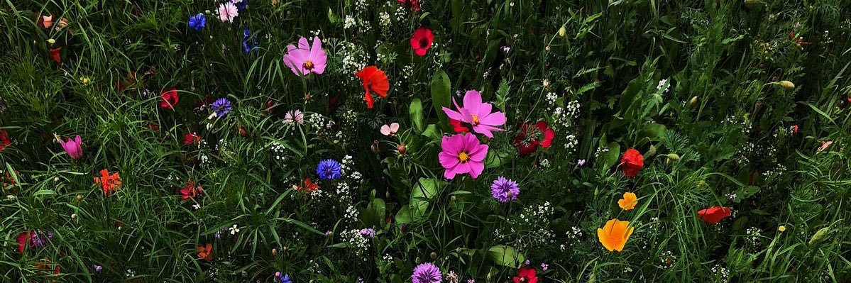 queenleslie__'s profile banner image