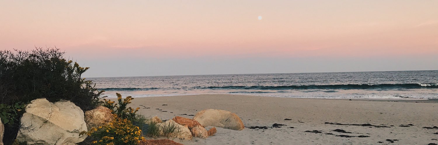gracecodyy's profile banner image