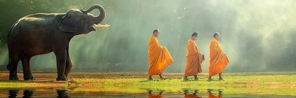 nipunSpeaks Profile Banner