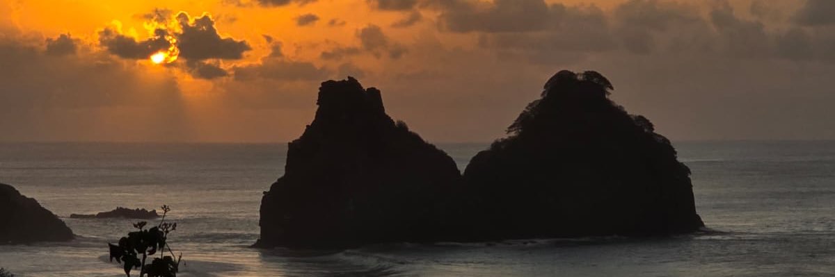 mai banner