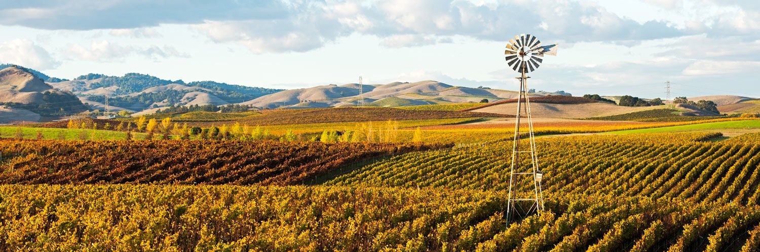 lancekuehne's profile banner image