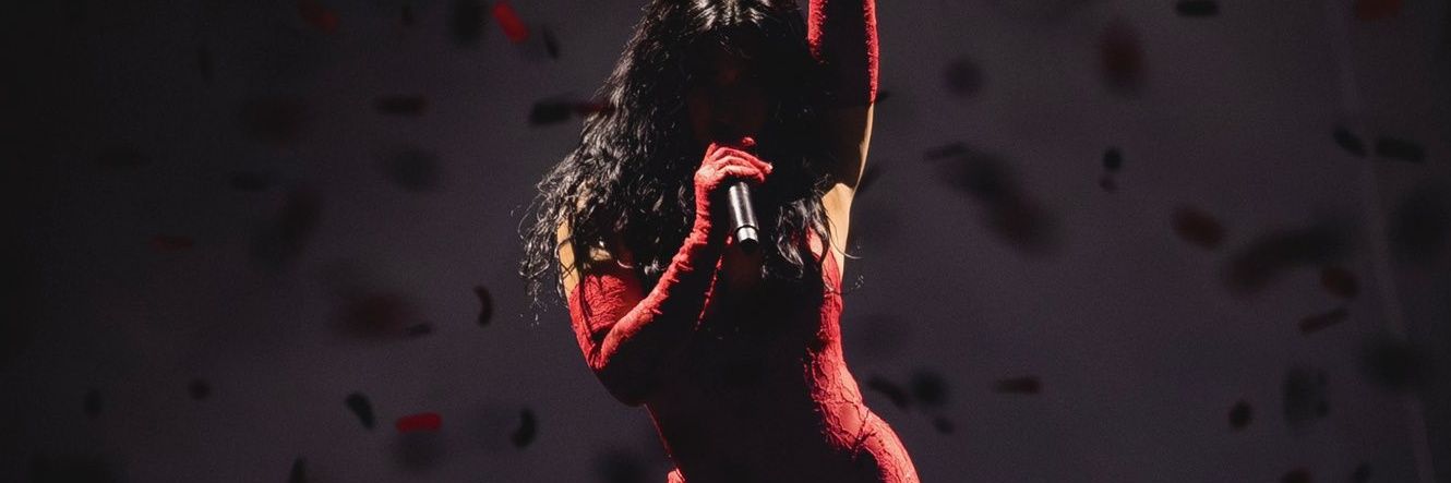 mariselirocha's profile banner image