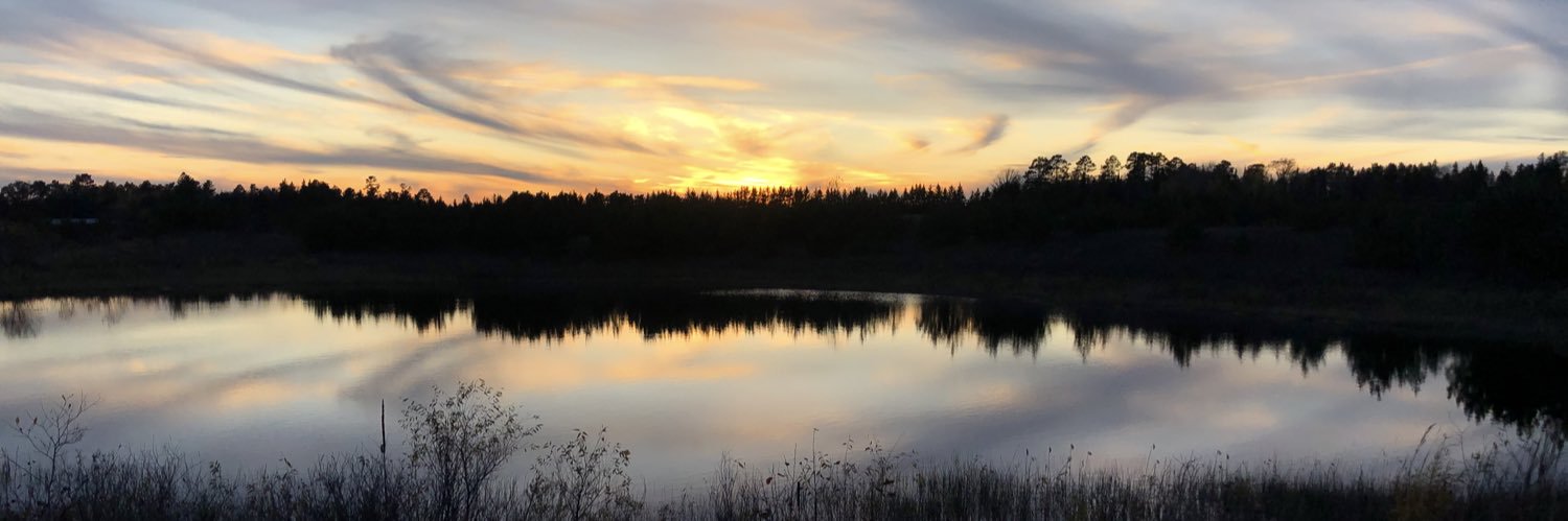 RachelMunson6's profile banner image