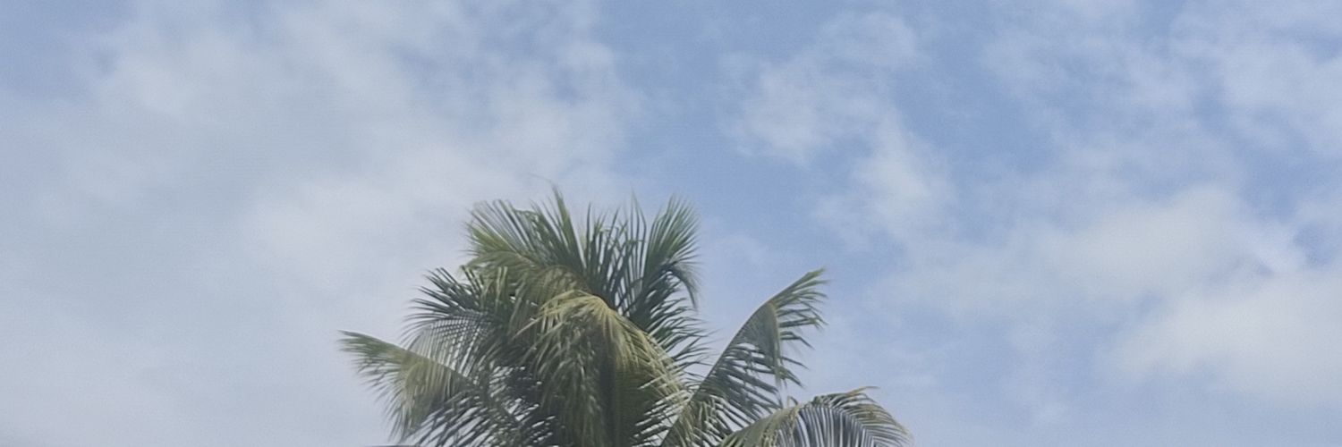 leriaandreina's profile banner image