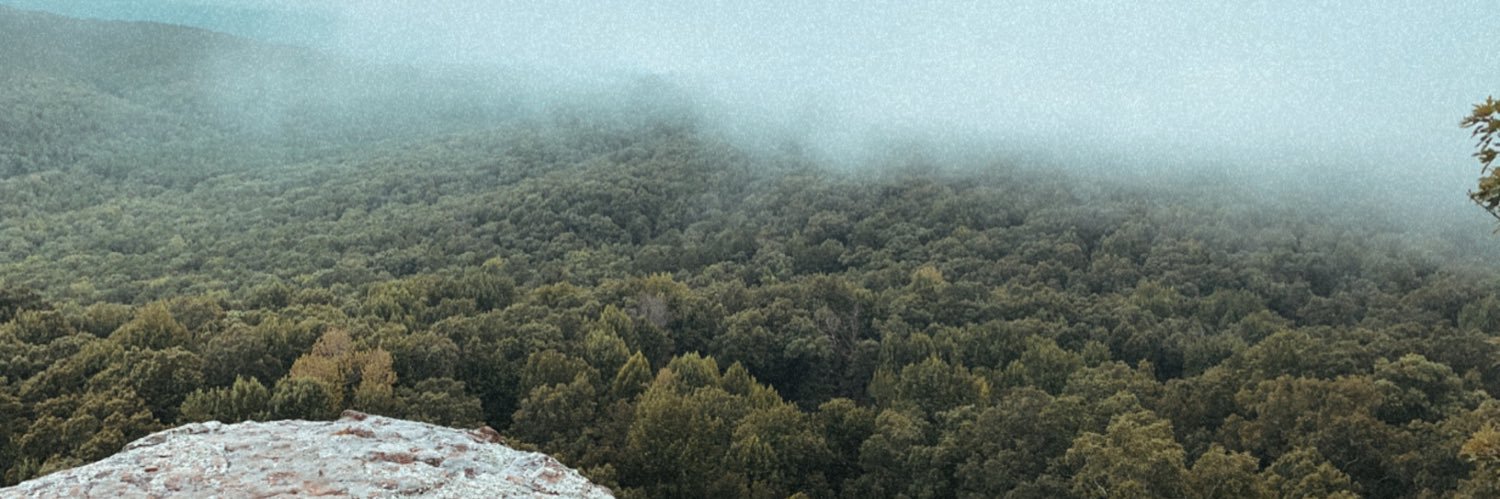 anna grace banner