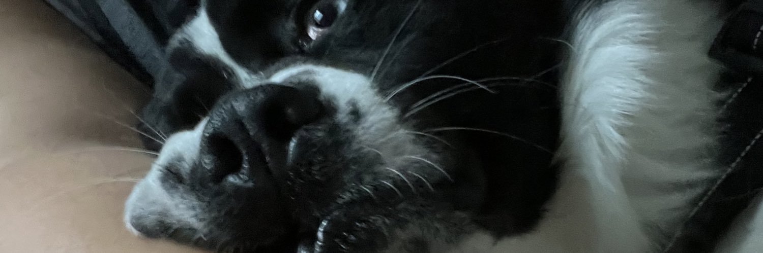 odalysg55's profile banner image