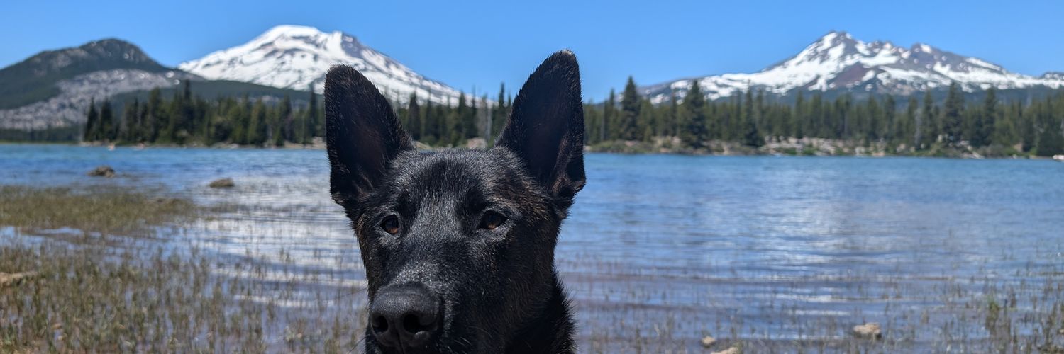 jschroe3's profile banner image