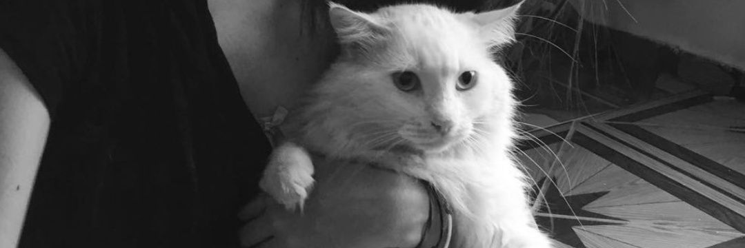 _PatriciaG__'s profile banner image