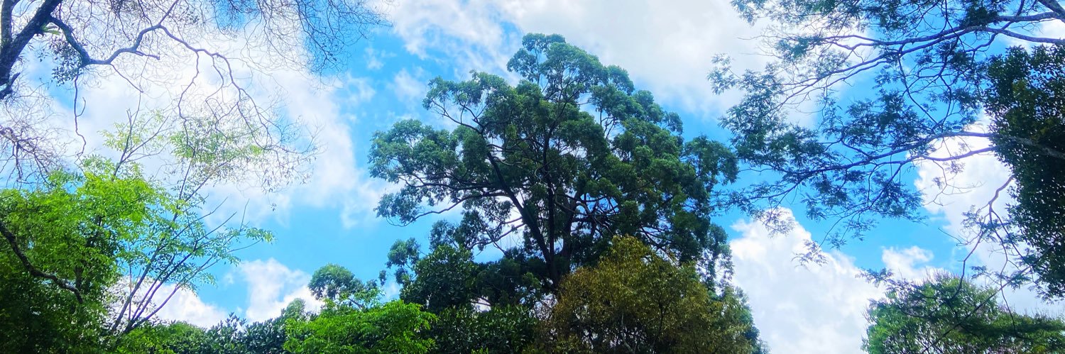 adiipoh's profile banner image