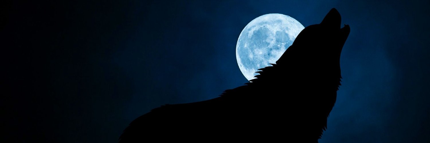 iLevi_sa's profile banner image