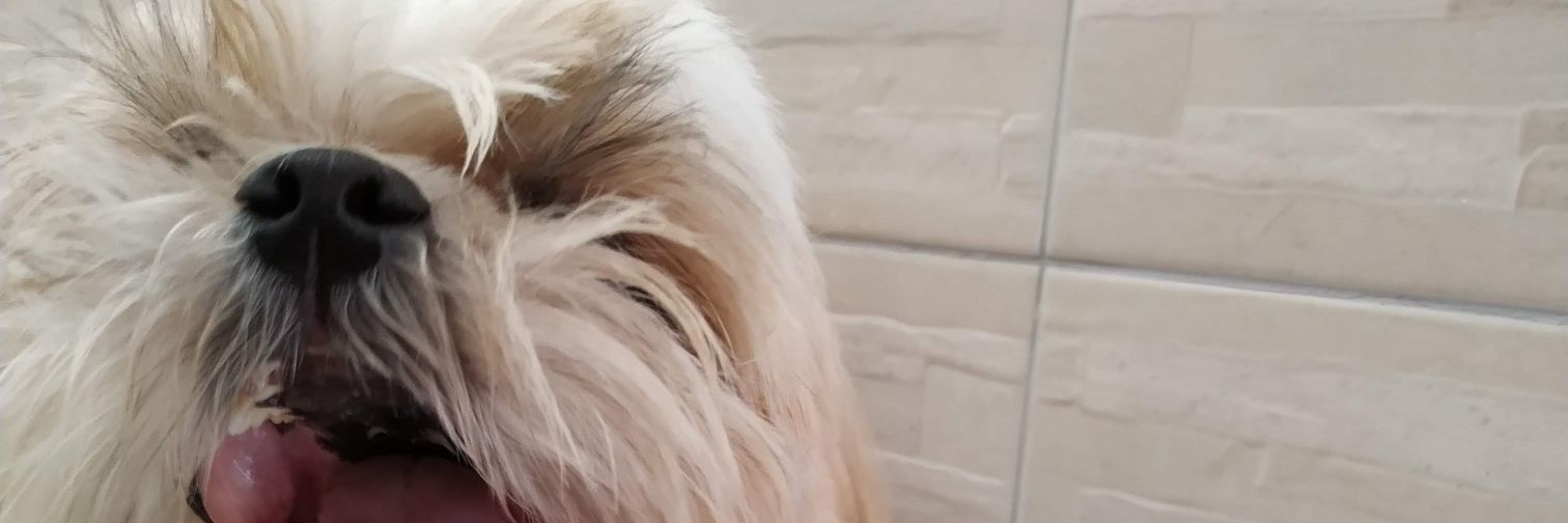 andressandrade_'s profile banner image