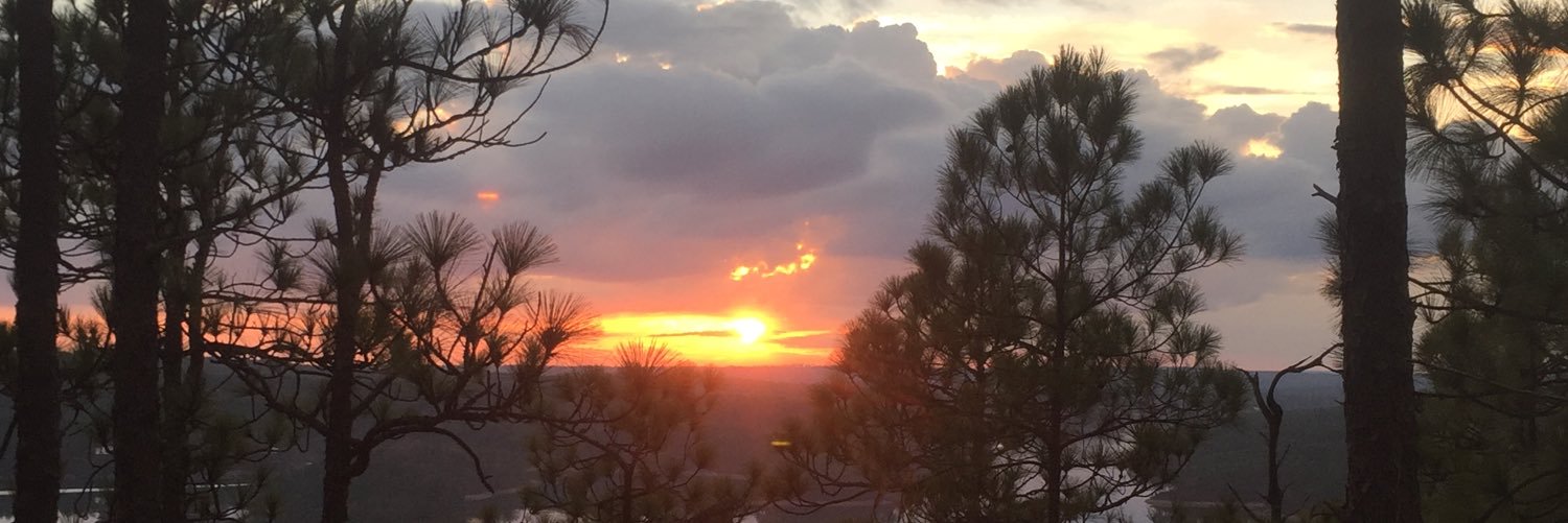 MadisonParka's profile banner image