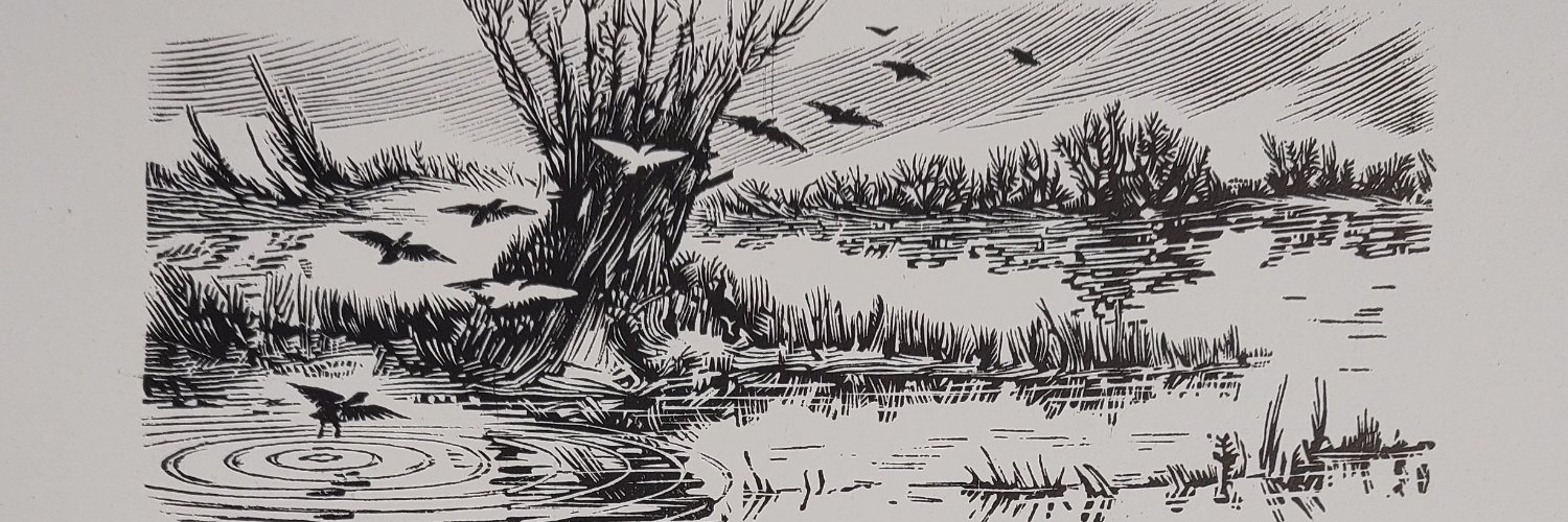 blynkepys's profile banner image