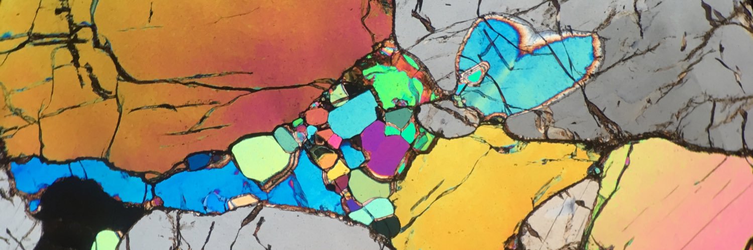 Rebecca Morris banner