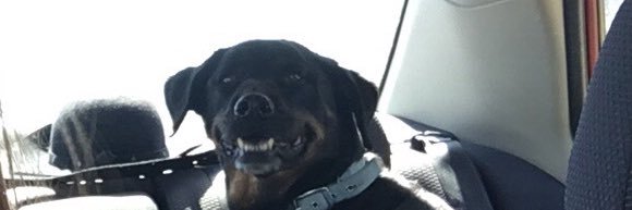 keeelizzle's profile banner image
