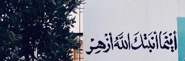 Alaa_D's profile banner image